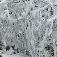 B38a32206b1965a768d455f4a6e8f5679a649af4