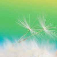 6f8e43fb79998c3c6bccbfd88a7ff73a64073d33