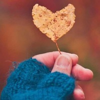 Dbe4cd46d637cb695693296b73c6387fbd4032d2