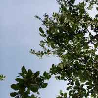 7437ac98669db11c58ca0c5b7bbb28e111bab080