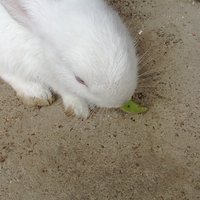 3b9be962351667c7f32fb471103fdd4be8a9862f