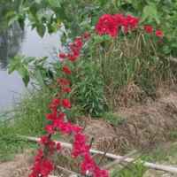 8b740d5f41ffe2fefe7499761377b4f37d7db6c8