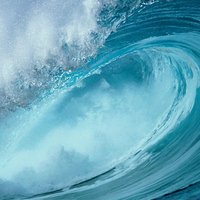 C5018c3b84474d394871b18057fc121ec422916a