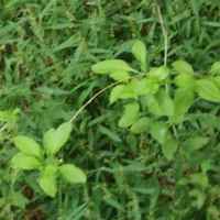 9998b84e3a50e1e330deb2be57482b4fef171fdb