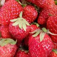 6a8fc063f9845bf46c345efc3e39f76e976bb9fb