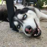 8029cbef88cf9c4cccae4ee79bdbd1a04cba34a3