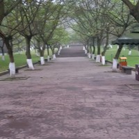 08f460037638a7ddcd53fa96e4ded72c39494f19