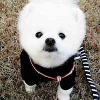 Cf639d4f51d858068ac09abd8c81c779353b2116