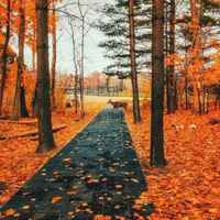 38c081bb6eb860a5ab5ec3dc9ab7e10a4a0ed102