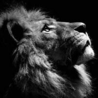 Ce29e6685e49e181a1bd43ee84a343996c837d31