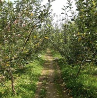 Aab497b8cf9d8f5b908b20f67409657232b0d593