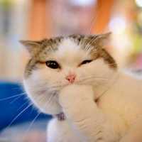 F1b17e7cfdaaf0d71ccc137a0b19f572dea4beb1