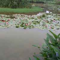 22489e0c71ff2a60aafd18fab4879541c2cde3d7