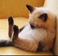 C95cbb4ff3b670fd1a2ff464c6edf7394efedda1