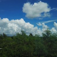 C1f13262ab5c356b34e0398a863f08492dcb744e