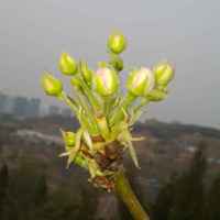 2693ac23b5e9c554d2e12122dcda7b4e894a514e