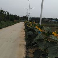 D23771abc65ea75979a52a1806256daf99d01683