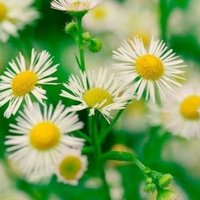 02a251527a563fe84cccdb6d246517bc06ca2840