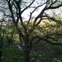 2c2befe2540ed2ee68868633df5f0804770434d1