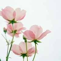 F059ab054f2738f33a6f797456110b4178280910