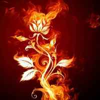 45622dc31e8dc4686b4cfc81bb8f71ed2a815cd6