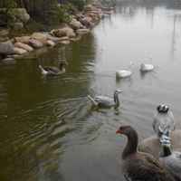 3ae5cc26bb265372cb91994d7a29facd06e06d48