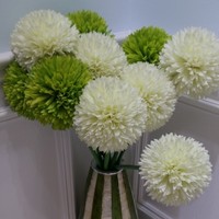 E472bf7cf5bec3fb58a75688359c4d35122cd904