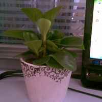 A5898b250aa6d47a7c6dea69caec2335d2eb294a