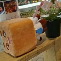 57194d849e9018b68e6126443f076f8283da205d