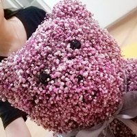 9fc8fffd2f3680675714d5354219da24d09547eb