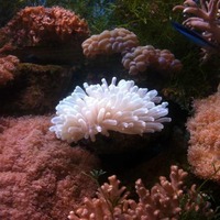 2f8f3010492a2ff2accfb0e3e4a2e92e958b1491