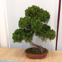 0768dabeb324383083c3e5d69dff986bef85c264