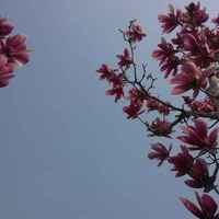 783498ed904d0499c075f2247832323f3c0cd570