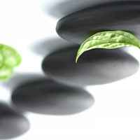 A44f1f1a75d6d62920ff01b2256d5889fb1b7c65