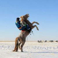 072eaa88533d50fd4e287602dfe99778f7b40853