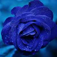 72ec2666275c66de884354742a4cab2b599e28dc