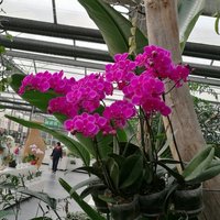 7f3653431d34509dfd71cd049ffba68fcd7bc553