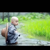 279c666ad6d55020a9697059855f9c6aea2b8b41