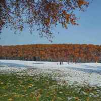 5a732ecdd7be5837cf08aef9f7b8521f64a7bace