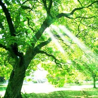 6aa7fb30a5ef246d0fa2ac7fd1cf4d109dd4f1e4