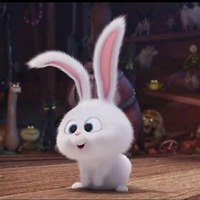 82ba456d8addb98e607bdf1b465369b1333db12b