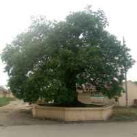 180bbe17a452d6d80d5e48ae1323ae808be8e2e3