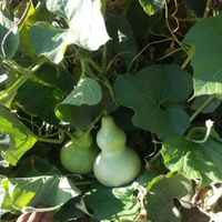 061aa272e24f21f901d3bbfb47b5b1577e8abce7