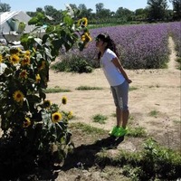 833341538b495af38b0576c832c4afb8722dde9e