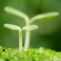 4b5dfb19a7d87a9467c8f69fc6464ab926b261fb