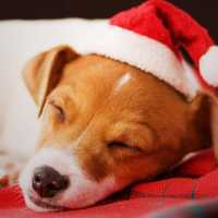 867bbf4c8f8e5a1908faa0042ac89009e8383f94