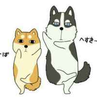 08c2fb699360eddce0410dd4d66d1d2cfc7f6585