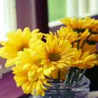 1afdb6ad9599f6eb4dc5cb5edd48089ae0d87beb