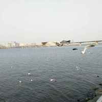 1155ba3e121ee1b8572caca86aa9a01b78511480