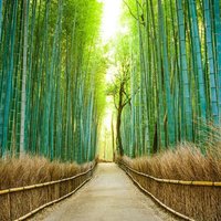 4627647c4fc91cf37127bddd5cd1ba23f2b49520